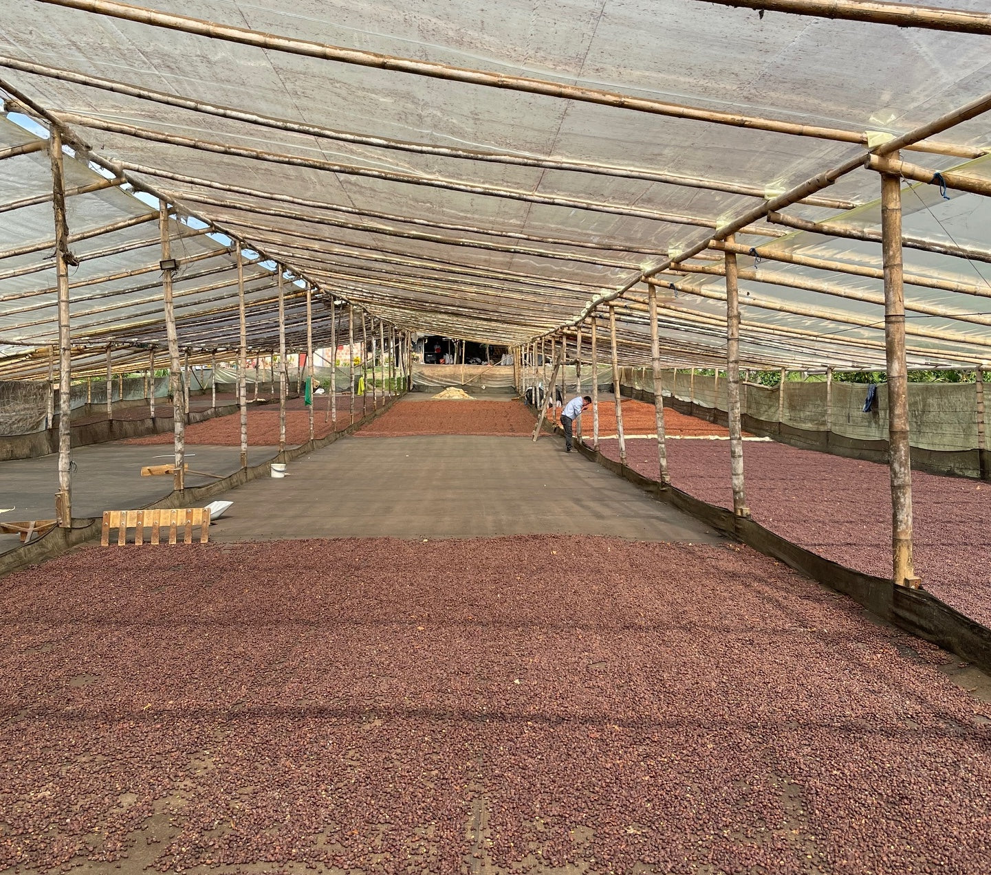 Lunatta Natural Pink Bourbon